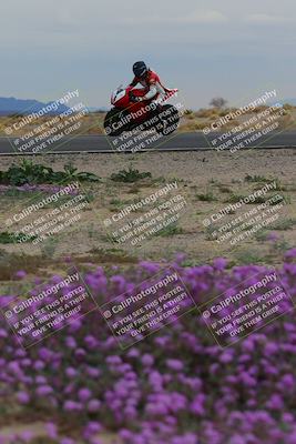 media/Jan-14-2023-SoCal Trackdays (Sat) [[497694156f]]/Turn 14 Exit Bloomig (145pm)/